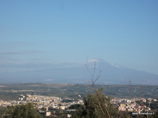 tapiccola-13-01-2013 09-11-15